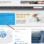 lucianwebservice-newsletter-signup-550x485