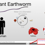 scale-of-the-universe-how-to Copyright @ 2012 Carry and Michael Huang (http://htwins.net)