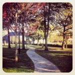 New park alley to Maple Ridge Leisure Center