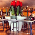 Tullip Restaurant in Amsterdam Airport – summer 2012