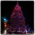 Maple Ridge Christmas Tree still up and running!