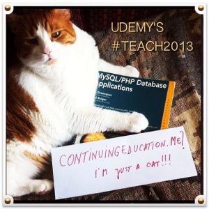 Our Tom Cat Udemy Mascot invites you to #Teach2013 !