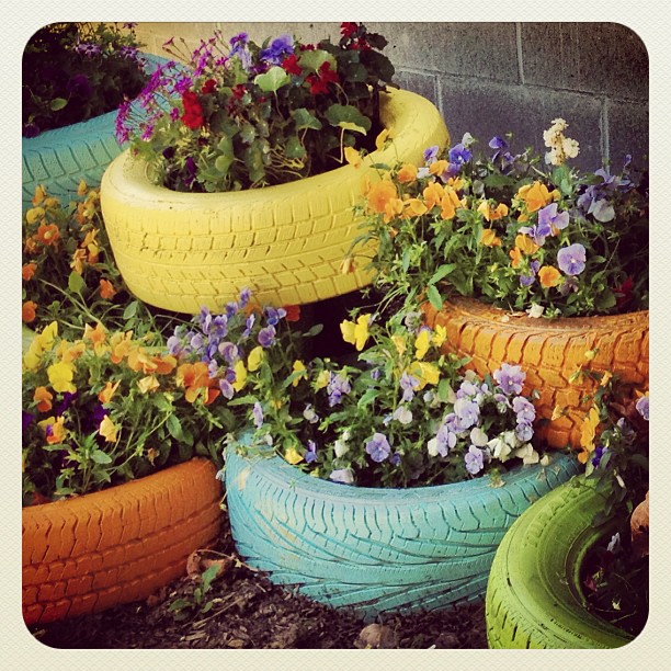 Tire flowers at Camp Hope, BC – Lucian Web Service